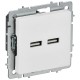 BRITE Розетка USB A+A 5В 3,1А РЮ10-1-БрАБ арктический белый   BR-U21-D31-K91  IEK