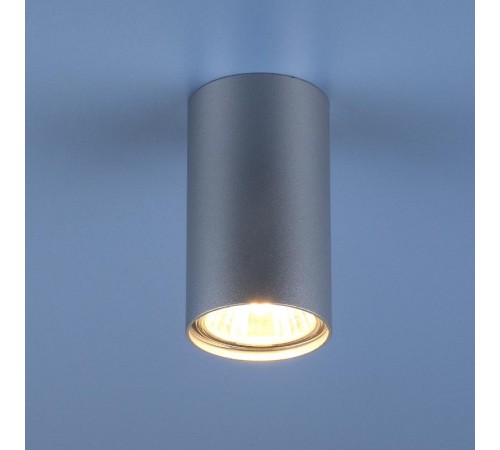 Светильник встраиваемый 1081 GU10 SL серебро (5257)  a037714  Elektrostandard
