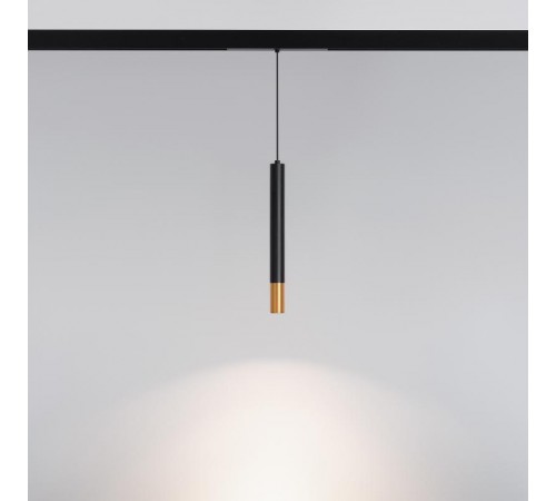 Светильник MAG-SPOT-HANG-25-R30-5W Day4000 (BK-GD, 45 deg, 24V) (arlight, IP20 Металл, 3 года)  034245  Arlight