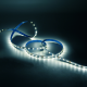 Лента светодиодная Basic LED 5050/60 12V 8W/m 900lm/m 4000K 10mm IP20 5m 1/100  BT025  Gauss