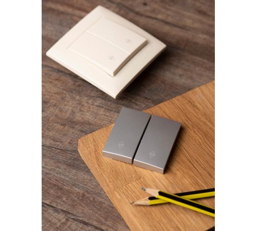 Валенсия лицевая панель выключателя 2-кл. проходного 10А сталь EKF PROxima   ESV10-L-027-30   EKF