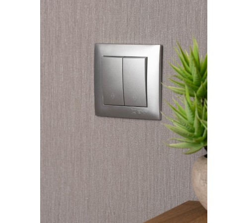 Валенсия лицевая панель выключателя 2-кл. проходного 10А сталь EKF PROxima   ESV10-L-027-30   EKF