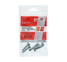 Болт DIN 571 сантехнический оцинк 6х30 (6 шт) - пакет ( 0,041 кг)  102579  Tech-KREP