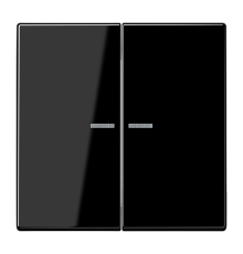 Клавиши для сдвоенного выключателя с подсветкой;чёрные  LS995KO5SW  Jung