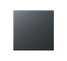 Стандартная центральная плата A1700BFANM Jung