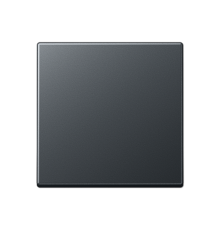 Стандартная центральная плата A1700BFANM Jung