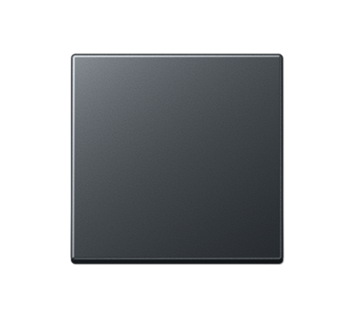 Стандартная центральная плата A1700BFANM Jung