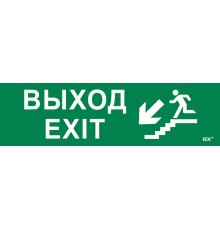 Этикетка самокл. 310х90мм "Выход/лест. вниз/фигура"   LPC10-1-31-09-VLVNF  IEK