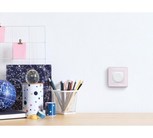 Inspiria Розовый Рамка 1-ая  673934  Legrand