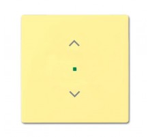 Клавиша одинарная free@home, жалюзи, future, цвет sahara/жёлтый6220-0-0569 ABB