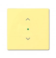 Клавиша одинарная free@home, жалюзи, future, цвет sahara/жёлтый6220-0-0569 ABB