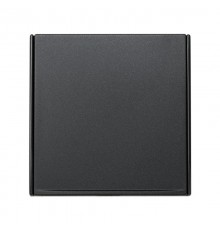 Simon 27 Вставка декоративная с откидной крышкой в рамку базовую с вырезом, S27 Play, графит  2700679-038  Simon