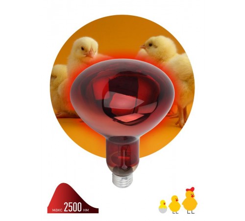 Лампа светодиодная фито для растений E27 инфракрасная для птицеводства ИКЗК 220-250 R127 (15/180)  Б0042980  ЭРА