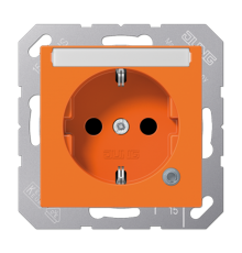 SCHUKO розетка с полем для надписи 6x46 мм A1520BFNAKOO Jung