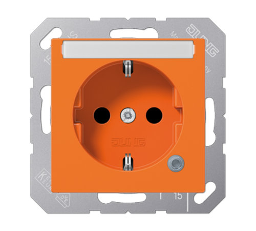 SCHUKO розетка с полем для надписи 6x46 мм A1520BFNAKOO Jung