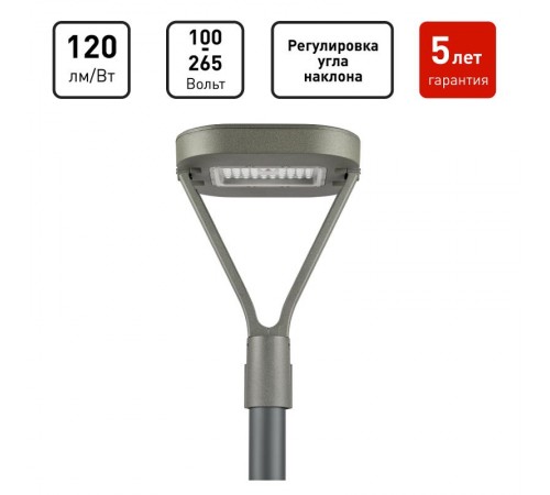 Светильник светодиодный садово-парковый  SPP-505-0-30K-050 50Вт 6000лм 3000K IP65 КСС Д серый   Б0062697  ЭРА