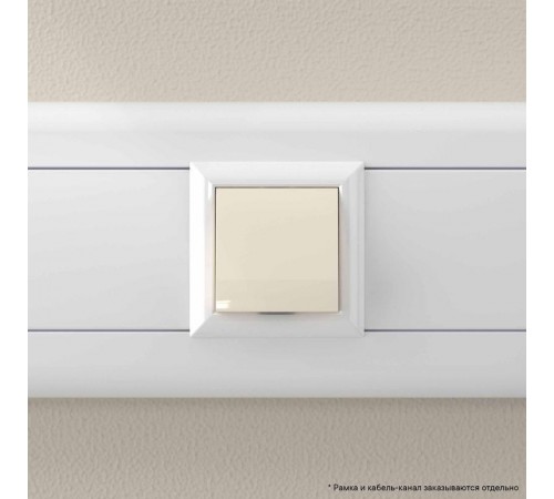 Вывод кабеля модульный "Avanti", "Ванильная дымка", 2 модуля  4405982  DKC
