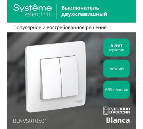 Blanca Белый С/У Выключатель 2-клавишный, 10А, 250B  BLNVS010501  SE