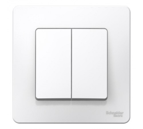 Blanca Белый С/У Выключатель 2-клавишный, 10А, 250B  BLNVS010501  SE