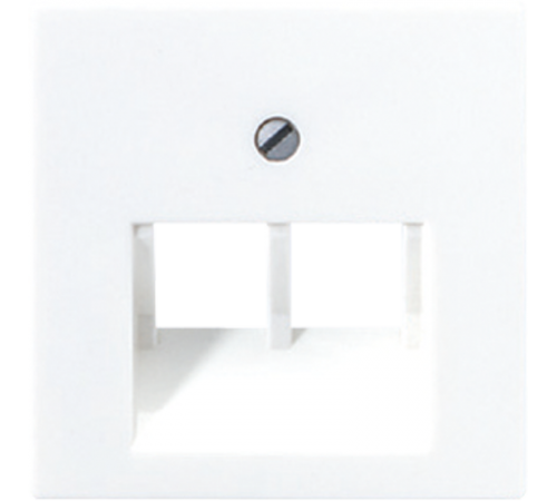 Крышка для сдвоенных телефонных и компьютерных розеток (UAE), фиксация винтом; термопласт; белый; A500  A569-2BFPLUAWW  Jung