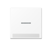 Клавиша с полем для надписи A590BFNAKO5WWM Jung