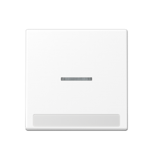 Клавиша с полем для надписи A590BFNAKO5WWM Jung