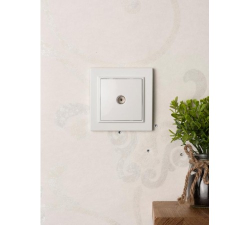 Минск Розетка TV 1-местная СП бел. 75Ом 5-862МГц EKF Basic  ERA00-027-10  EKF