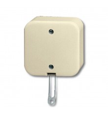 Переключатель со шнурком для открытого монтажа, серия Busch-Duro 2000 AP, цвет слоновая кость  1343-0-0136   2CKA001343A0136  ABB