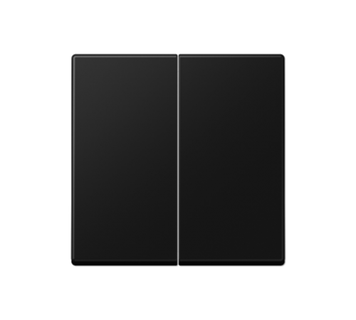 Центральная плата 2 группы стандарт; термопласт; черный матовый  A1702BFSWM  Jung