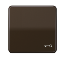 Клавиша с символом "ключ"; коричневая  CD590TBR  Jung