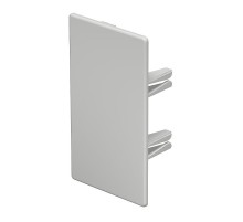 Торцевая заглушка кабельного канала WDKH 60x110 мм (ABS-пластик,светло-серый) (WDKH-E60110LGR)  6175944  OBO Bettermann