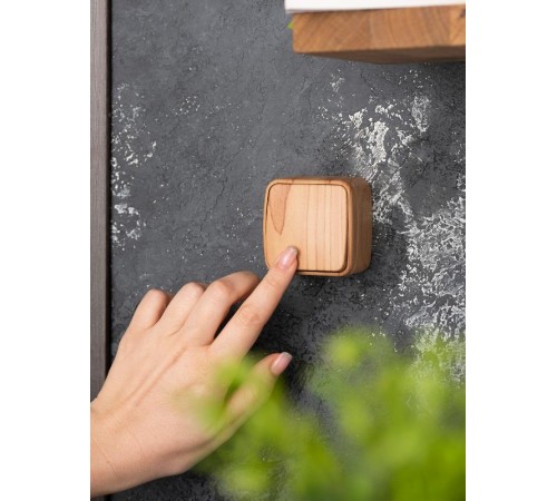 Выключатель 1-клавишный ОП Минск 10А светлое дерево EKF  EGV10-021-30  EKF