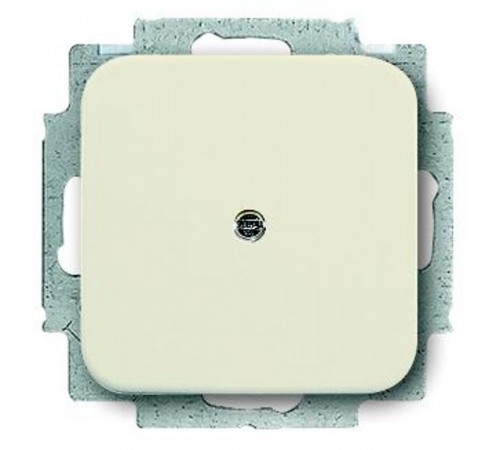 Заглушка с суппортом, серия Busch-Duro 2000 SI, цвет слоновая кость  1715-0-0318   2CKA001715A0318  ABB