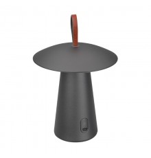 Светильник SP-PATIO-TAB-2W Warm3000 (GR, 127 deg) (Arlight, IP54 Металл, 2 года)  031628  Arlight