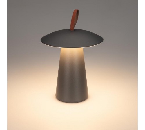 Светильник SP-PATIO-TAB-2W Warm3000 (GR, 127 deg) (Arlight, IP54 Металл, 2 года)  031628  Arlight