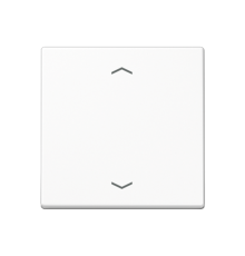 Центральная плата для вставок управления двигателями A1700BFPWW Jung