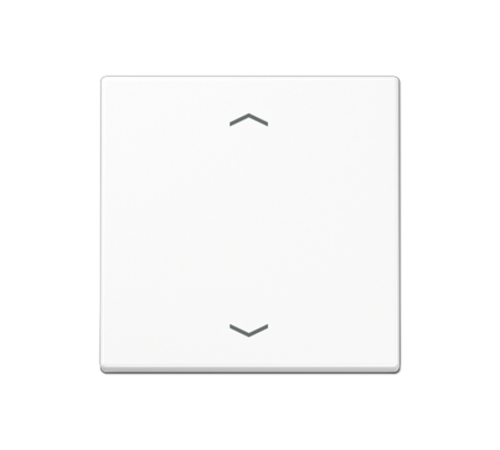 Центральная плата для вставок управления двигателями A1700BFPWW Jung