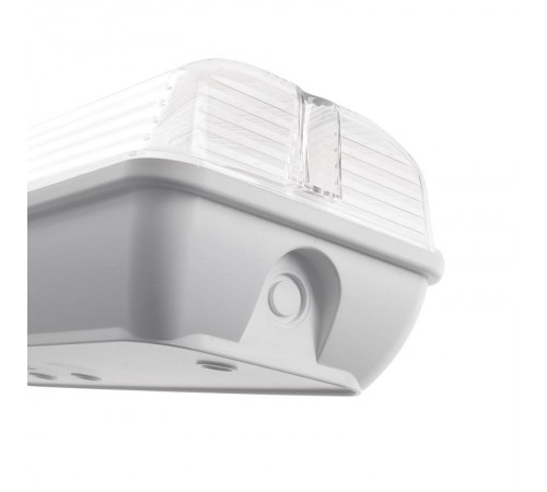 Светильник аварийный, 20 LED AC/DC, белый, EM101 с наклейкой ВЫХОД IP65 3 часа  41536  FERON