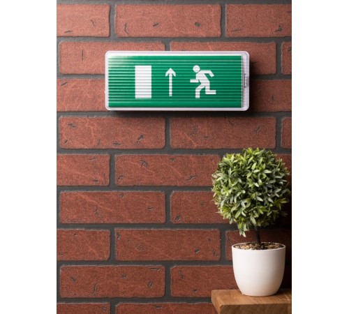 Пиктограмма "Направление прямо" 320х120мм (для EXIT, SAFEWAY-40)  pkal-01-05  EKF