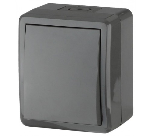 Переключатель IP54, 10АХ-250В, 11-1403-03, ОУ, Эксперт, Серый Б0020674  ЭРА