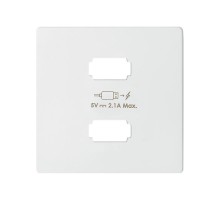 Накладка для зарядного устройства 2xUSB белого матового цвета S82 Concept  8221096-090  Simon