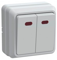 ОКТАВА белый Выключатель 2-клавишный с индикацией 10А ВС20-2-1-ОБ EVO21-K01-10-DC  GENERICA