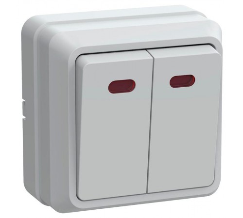 ОКТАВА белый Выключатель 2-клавишный с индикацией 10А ВС20-2-1-ОБ EVO21-K01-10-DC  GENERICA