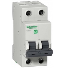 Выключатель автоматический двухполюсный EASY 9 25А C 4,5кА  EZ9F34225  Schneider Electric