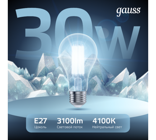 Лампа светодиодная Filament А70 30W 3100lm 4100К Е27 LED 1/10/40  102902230  Gauss