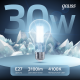 Лампа светодиодная Filament А70 30W 3100lm 4100К Е27 LED 1/10/40  102902230  Gauss