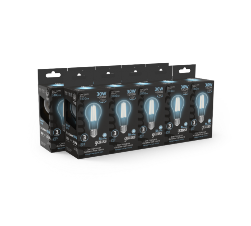 Лампа светодиодная Filament А70 30W 3100lm 4100К Е27 LED 1/10/40  102902230  Gauss