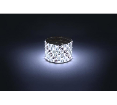 Комплект светодиодной ленты 5050kit-14,4-60-12-IP65-6500-5m  Б0043068  ЭРА