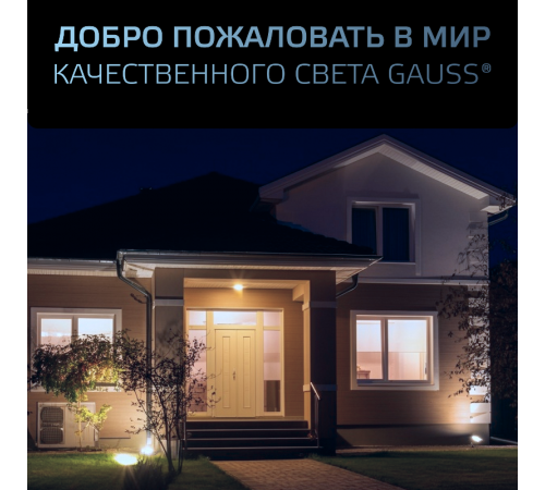 Прожектор светодиодный  Qplus 50W 4250lm 6500K 200-240V IP65 графитовый LED 1/10  690511350  Gauss