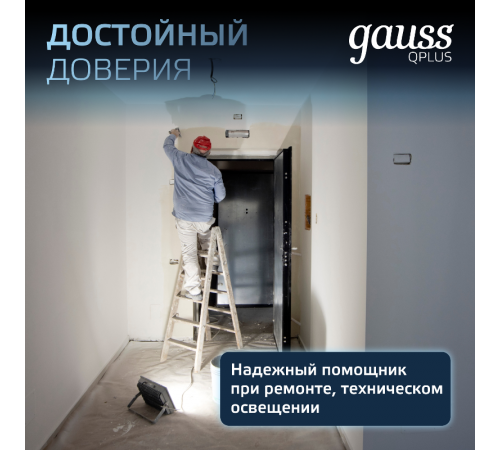 Прожектор светодиодный  Qplus 50W 4250lm 6500K 200-240V IP65 графитовый LED 1/10  690511350  Gauss